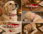 Collier biothane Coquelicot