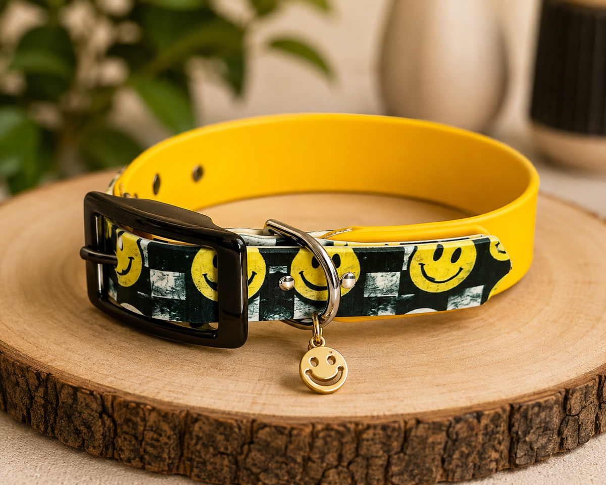 Collier Biothane – Sourire