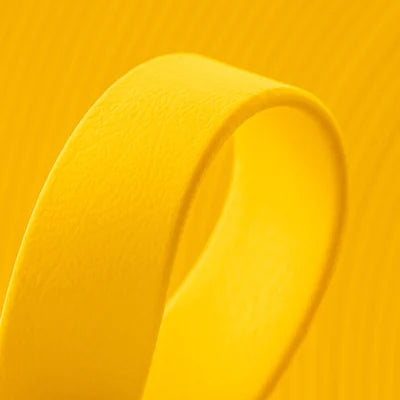 Collier Biothane – Sourire